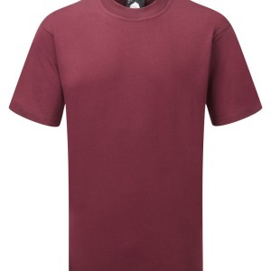 Goshawk Deluxe T-shirt