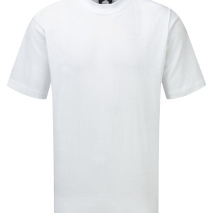 Goshawk Deluxe T-shirt