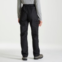 CEJ002_62A_01_bynder_defined_type_model_011680613902